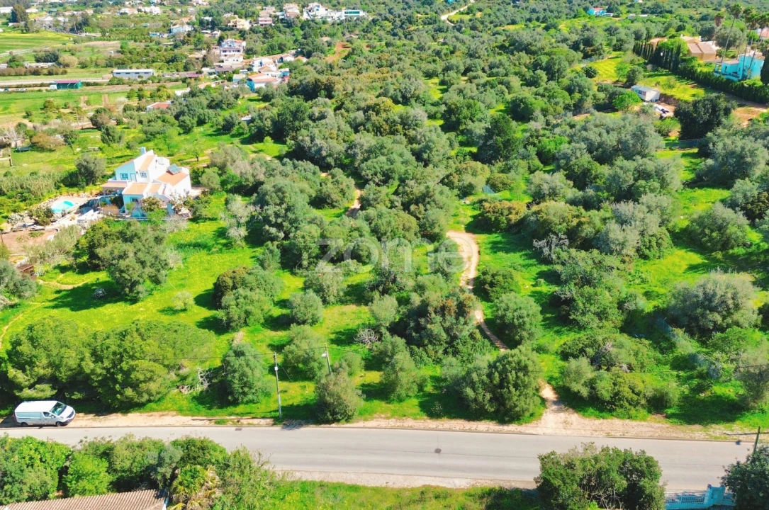 Terreno para Venda em Alvor Foto 5
