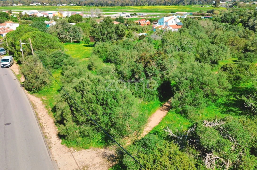 Terreno para Venda em Alvor Foto 6