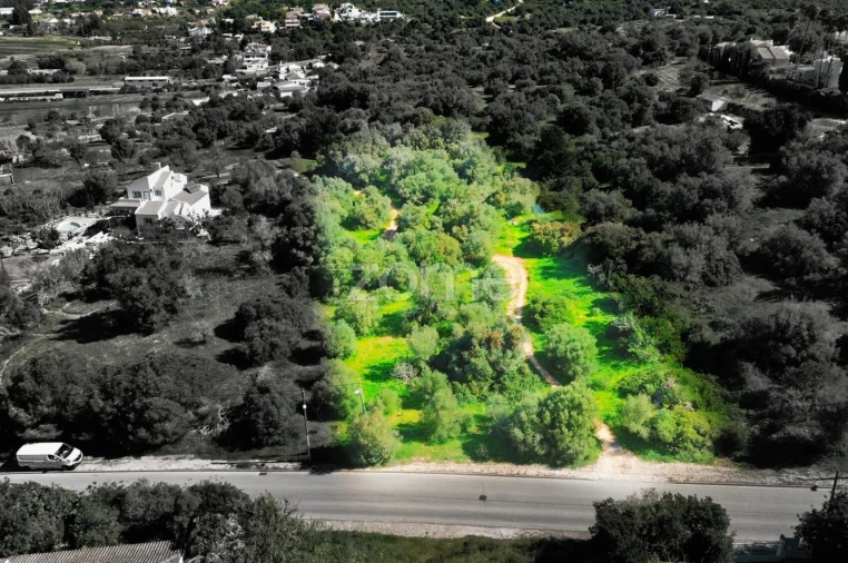 Terreno para Venda em Alvor Foto 3