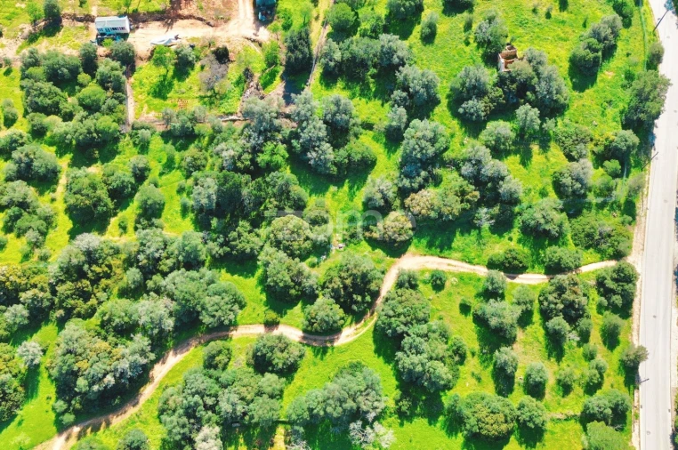 Terreno para Venda em Alvor Foto 4
