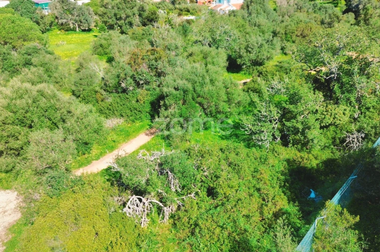 Terreno para Venda em Alvor Foto 11