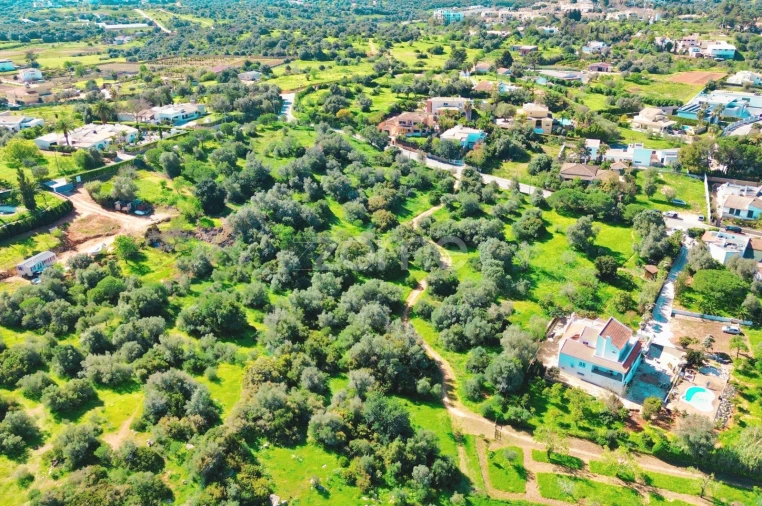 Terreno para Venda em Alvor Foto 8