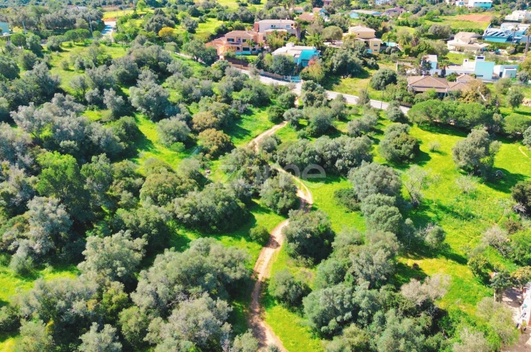 Terreno para Venda em Alvor Foto 9