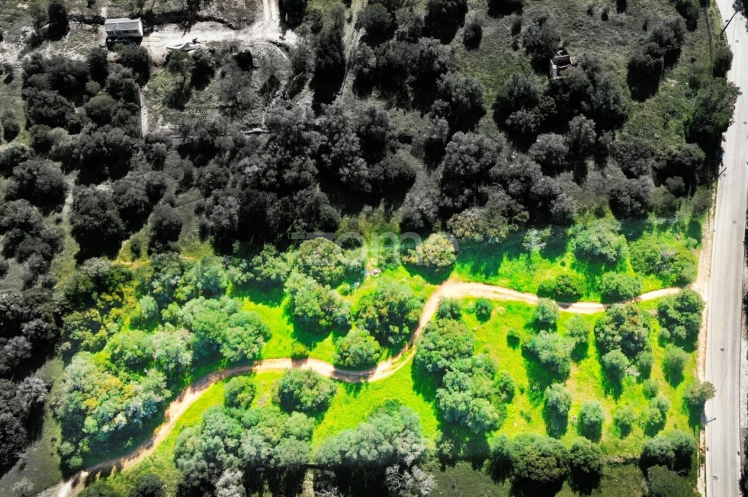 Terreno para Venda em Alvor Foto 2