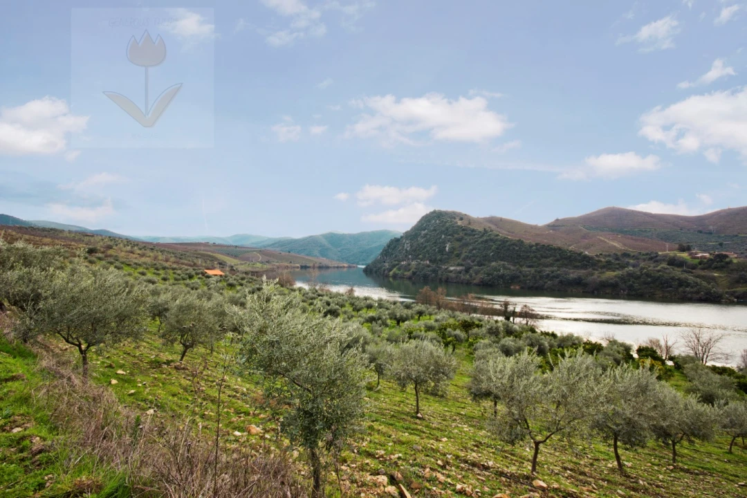 Quinta para Venda em Urros e Peredo dos Castelhanos Foto 1
