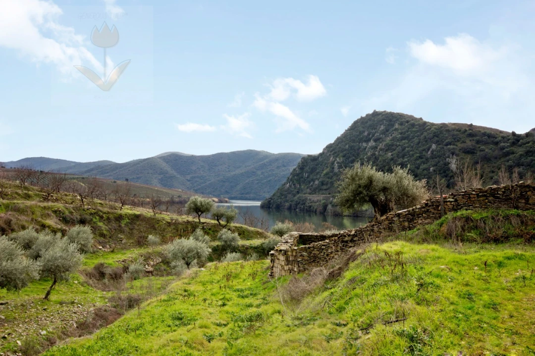 Quinta para Venda em Urros e Peredo dos Castelhanos Foto 3