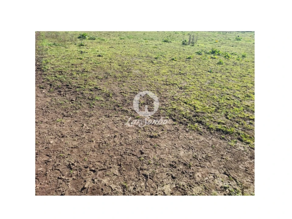 Terreno para Venda em Cristelo Foto 5