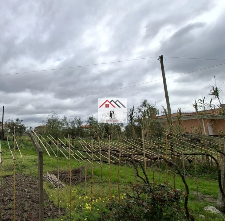 Terreno para Venda em São Martinho de Árvore e Lamarosa Foto 8