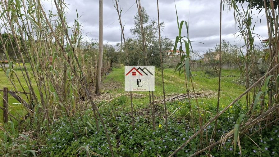 Terreno para Venda em São Martinho de Árvore e Lamarosa Foto 3