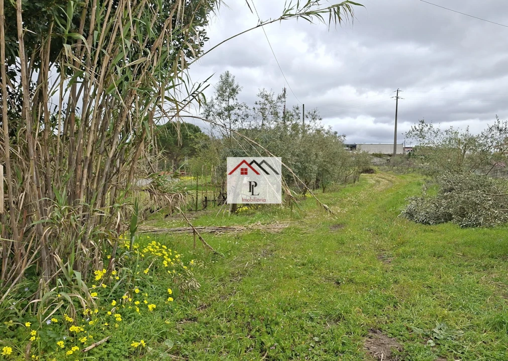 Terreno para Venda em São Martinho de Árvore e Lamarosa Foto 5