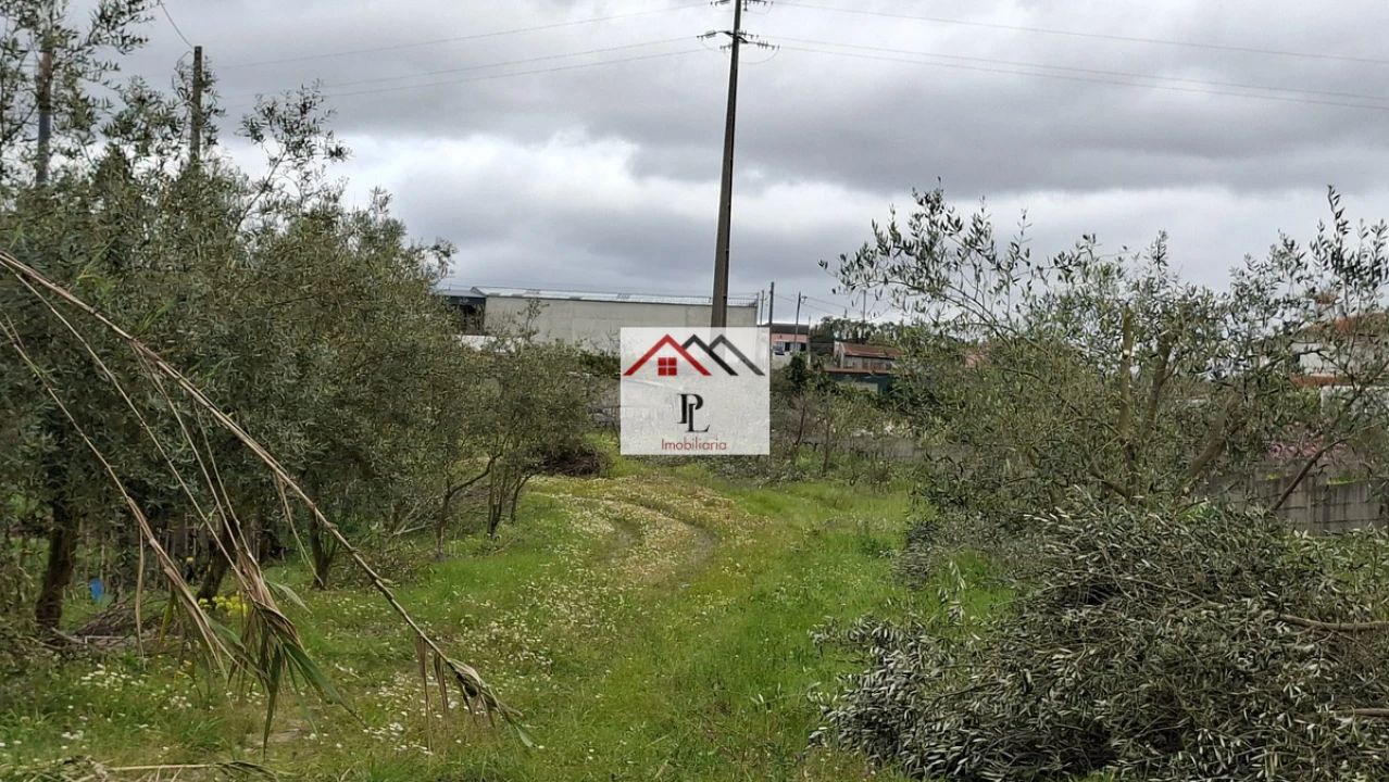 Terreno para Venda em São Martinho de Árvore e Lamarosa Foto 6