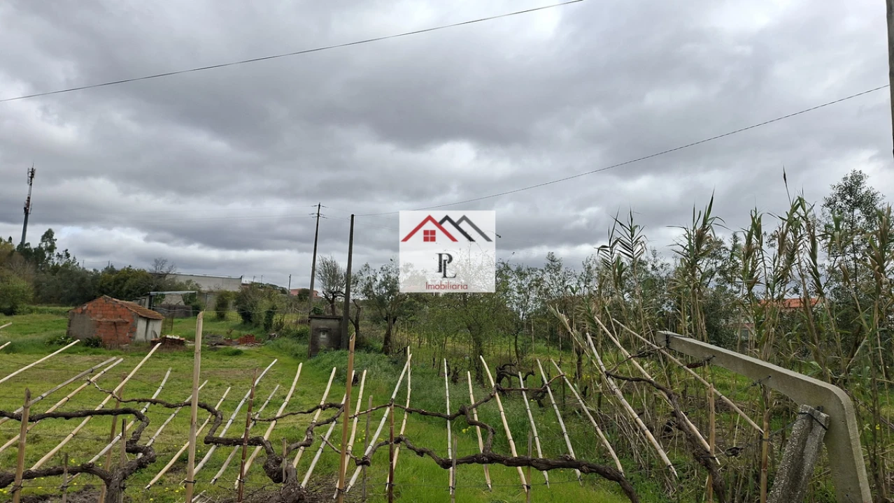 Terreno para Venda em São Martinho de Árvore e Lamarosa Foto 4