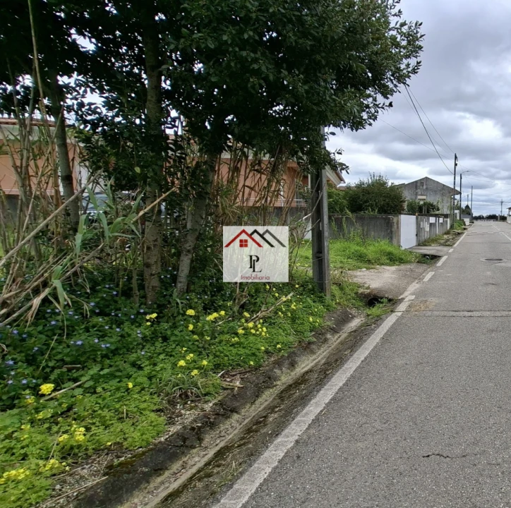 Terreno para Venda em São Martinho de Árvore e Lamarosa Foto 7