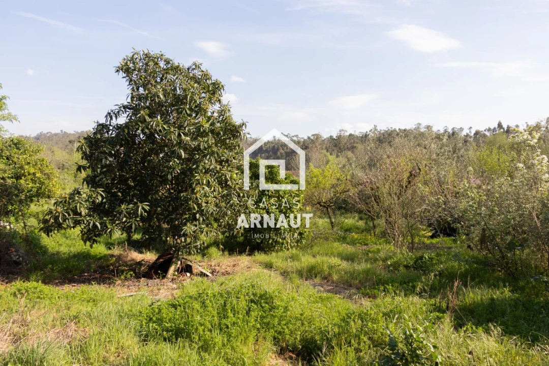 Moradia T2 para Venda em Pombal Foto 27