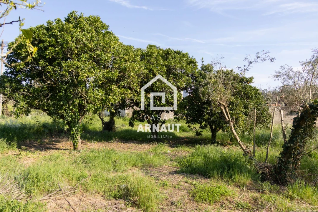 Moradia T2 para Venda em Pombal Foto 3