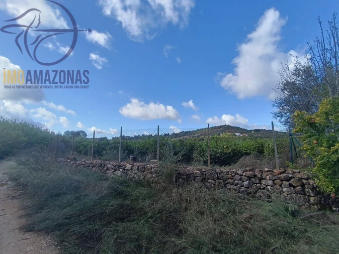 Terreno para Venda em Silves Foto 3