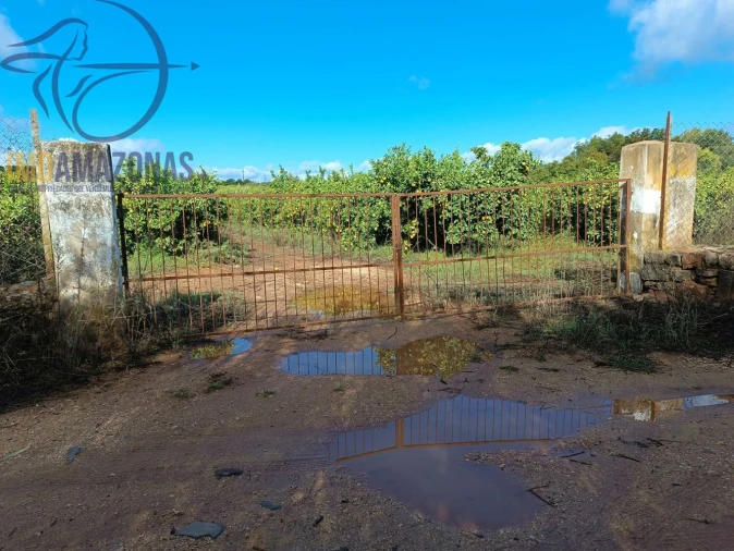 Terreno para Venda em Silves Foto 5