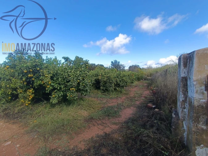 Terreno para Venda em Silves Foto 1