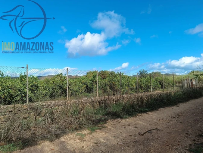 Terreno para Venda em Silves Foto 7