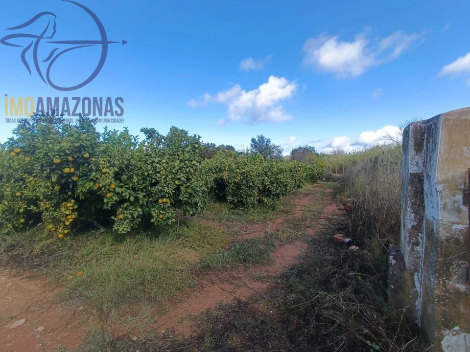 Terreno para Venda em Silves Foto 2