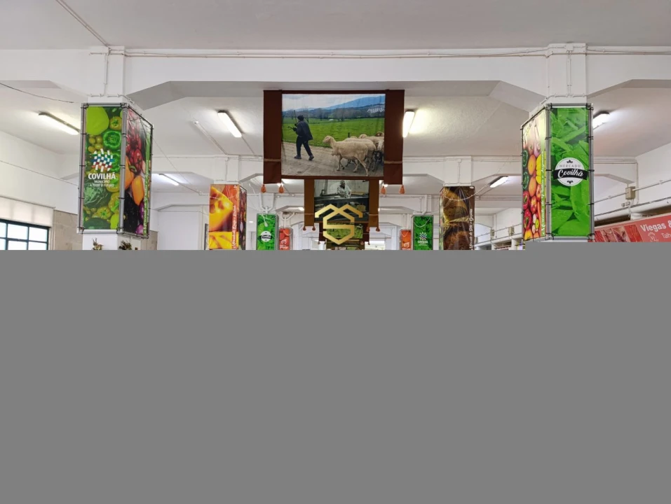 Quinta T2 para Venda em Belmonte e Colmeal da Torre Foto 34