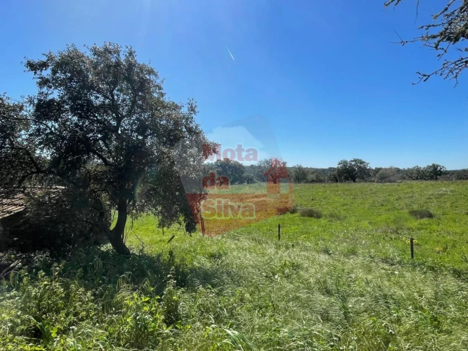 Quinta T2 para Venda em São Francisco da Serra Foto 8