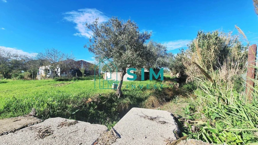 Quinta T3 para Venda em Bacelo e Senhora da Saúde Foto 8