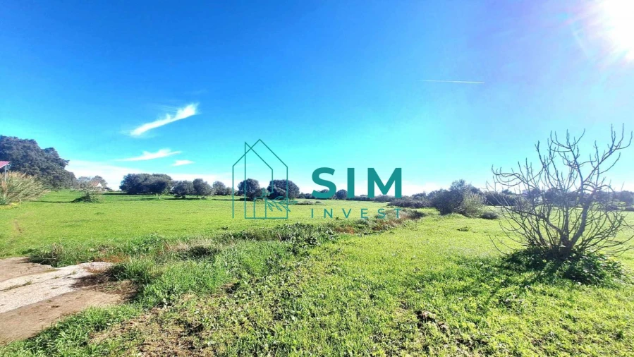 Quinta T3 para Venda em Bacelo e Senhora da Saúde Foto 12