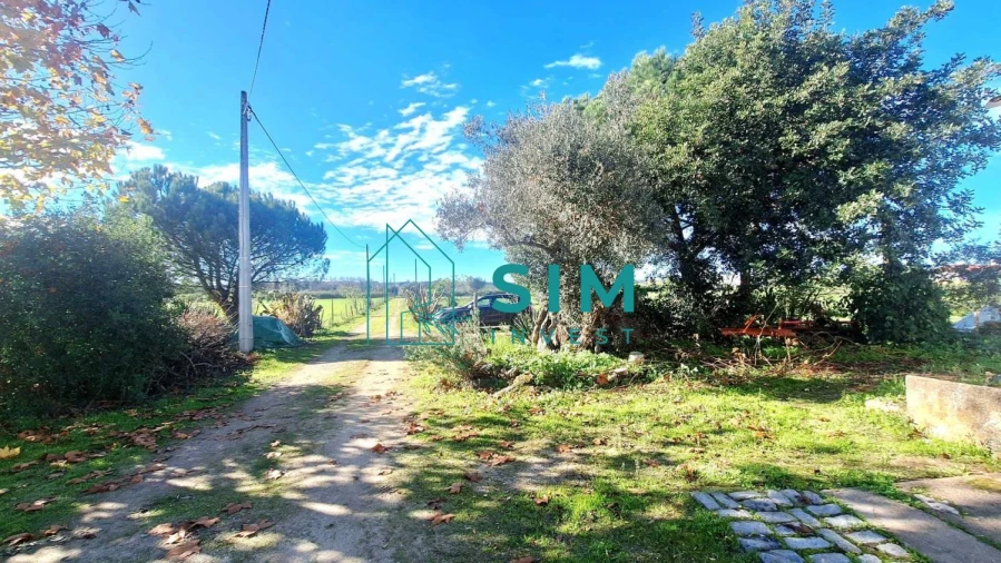 Quinta T3 para Venda em Bacelo e Senhora da Saúde Foto 3