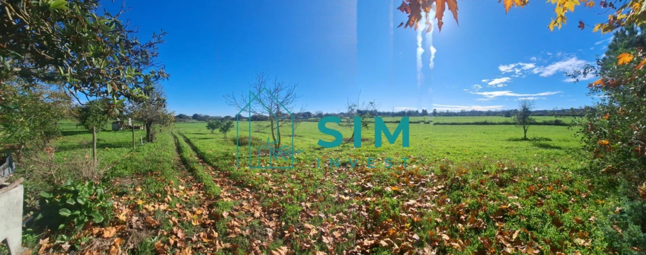 Quinta T3 para Venda em Bacelo e Senhora da Saúde Foto 23