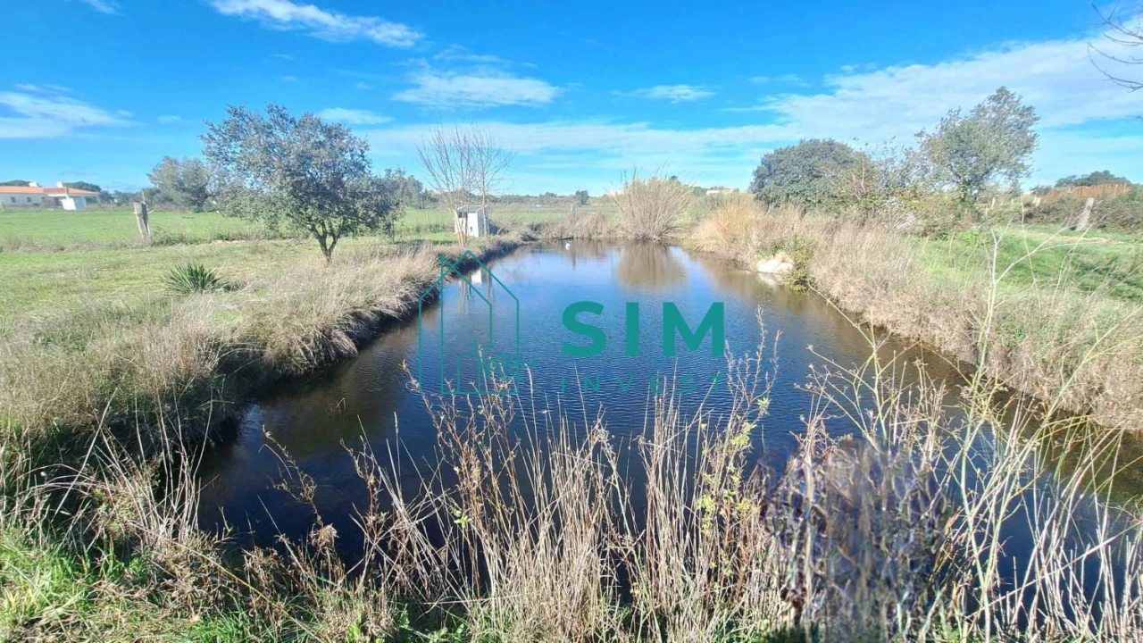 Quinta T3 para Venda em Bacelo e Senhora da Saúde Foto 4