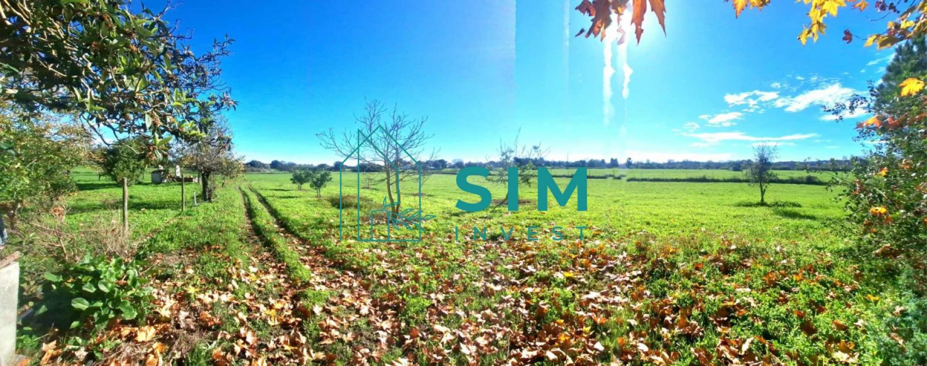 Quinta T3 para Venda em Bacelo e Senhora da Saúde Foto 10