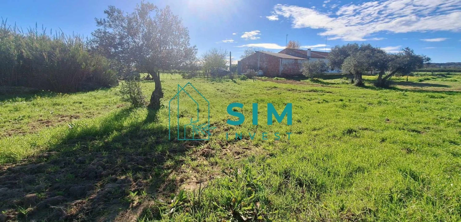 Quinta T3 para Venda em Bacelo e Senhora da Saúde Foto 24