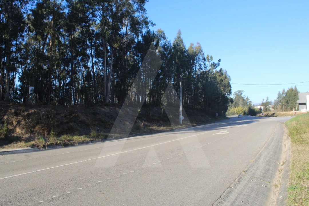 Terreno Agricola ou Rústico para Venda em Águeda e Borralha Foto 14