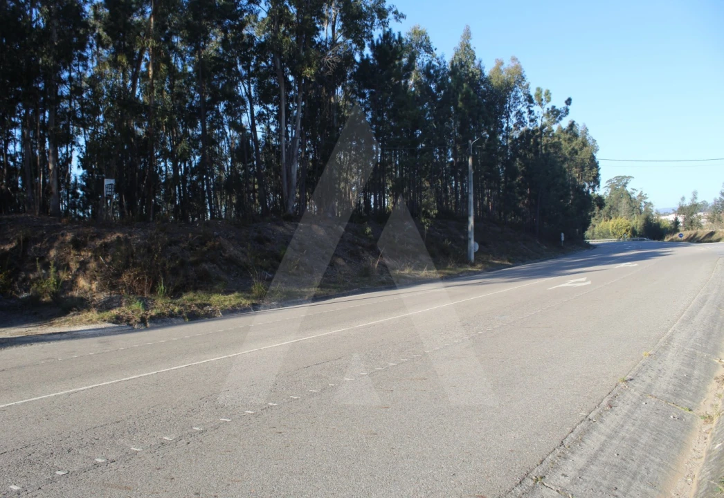 Terreno Agricola ou Rústico para Venda em Águeda e Borralha Foto 13