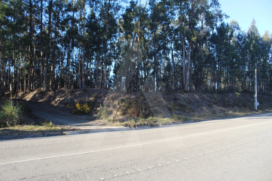 Terreno Agricola ou Rústico para Venda em Águeda e Borralha Foto 1