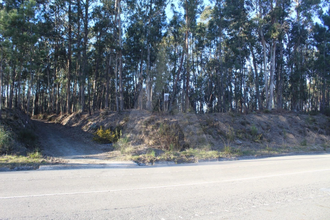 Terreno Agricola ou Rústico para Venda em Águeda e Borralha Foto 10