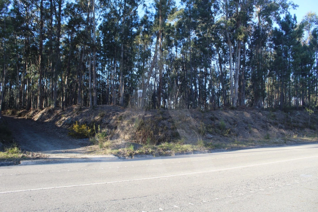 Terreno Agricola ou Rústico para Venda em Águeda e Borralha Foto 11