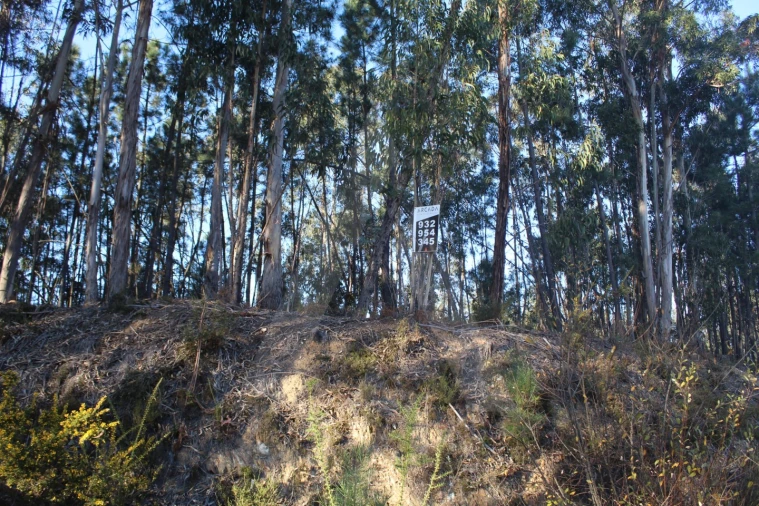 Terreno Agricola ou Rústico para Venda em Águeda e Borralha Foto 6