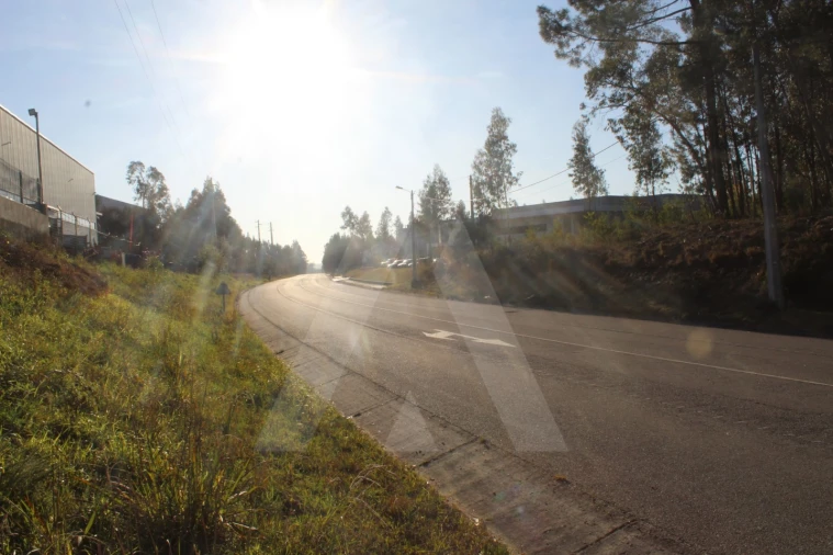 Terreno Agricola ou Rústico para Venda em Águeda e Borralha Foto 15