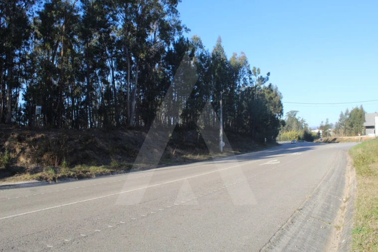 Terreno Agricola ou Rústico para Venda em Águeda e Borralha Foto 14