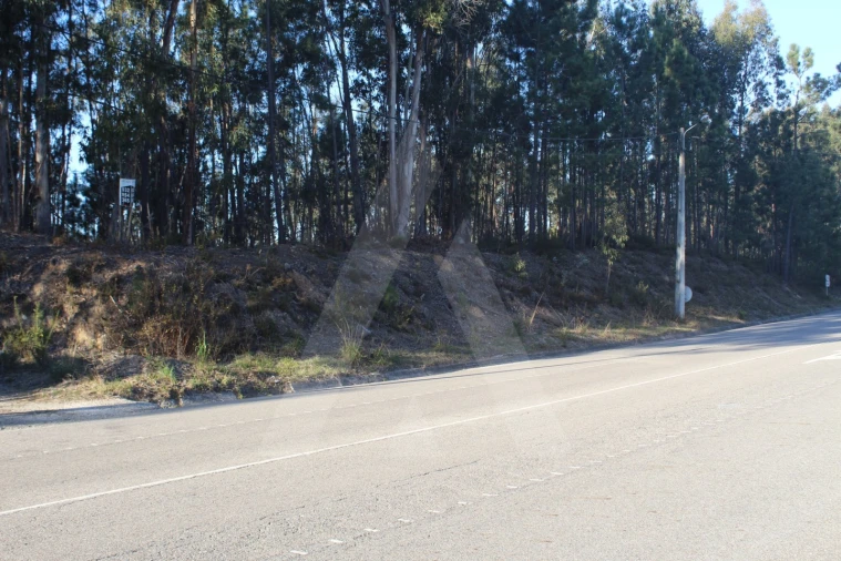 Terreno Agricola ou Rústico para Venda em Águeda e Borralha Foto 9