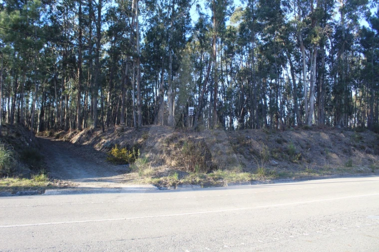 Terreno Agricola ou Rústico para Venda em Águeda e Borralha Foto 10