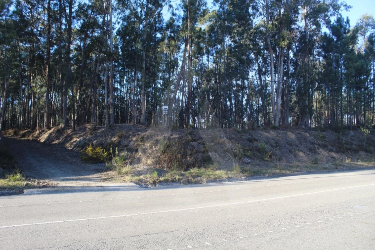 Terreno Agricola ou Rústico para Venda em Águeda e Borralha Foto 11