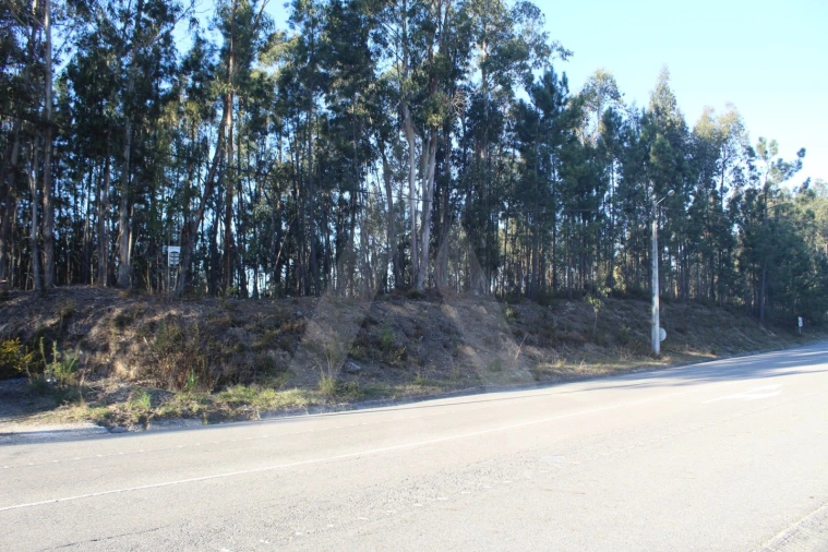 Terreno Agricola ou Rústico para Venda em Águeda e Borralha Foto 12