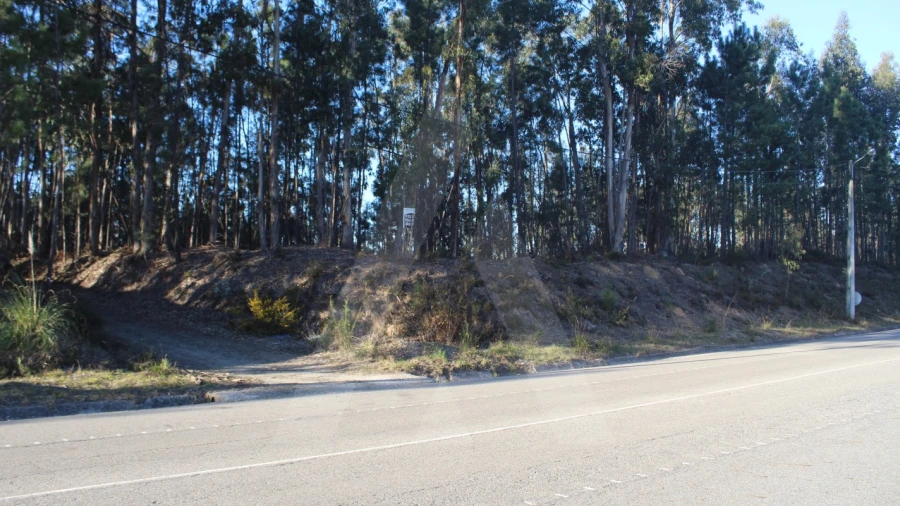 Terreno Agricola ou Rústico para Venda em Águeda e Borralha