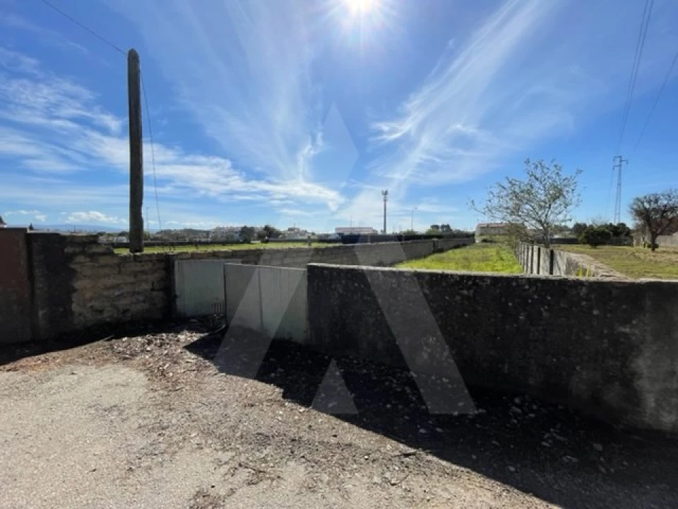 Terreno Agricola ou Rústico para Venda em Trofa, Segadães e Lamas do Vouga Foto 3