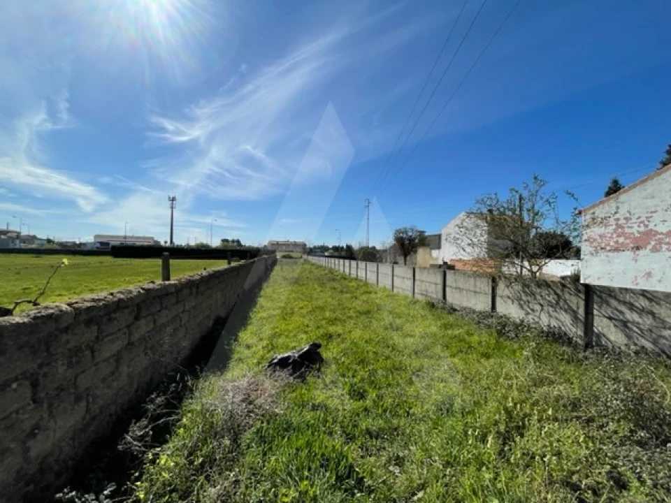 Terreno Agricola ou Rústico para Venda em Trofa, Segadães e Lamas do Vouga Foto 7