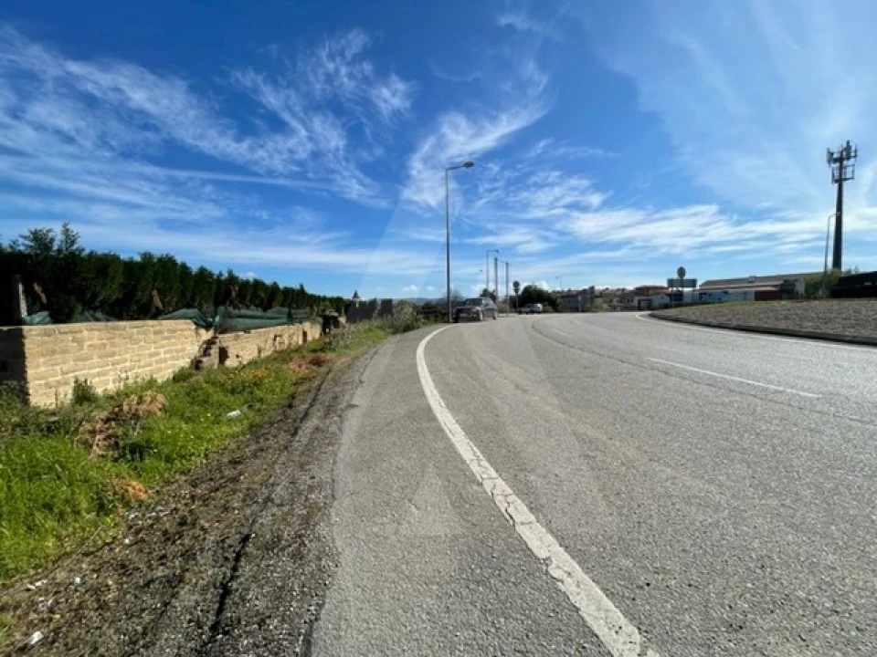 Terreno Agricola ou Rústico para Venda em Trofa, Segadães e Lamas do Vouga Foto 12