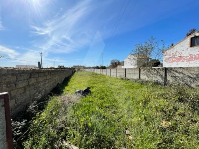 Terreno Agricola ou Rústico para Venda em Trofa, Segadães e Lamas do Vouga Foto 2